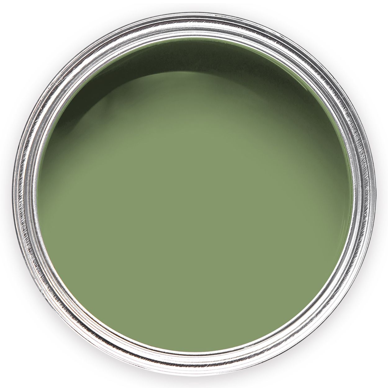 Annie Sloan Chalk Paint Capability Green 500ml