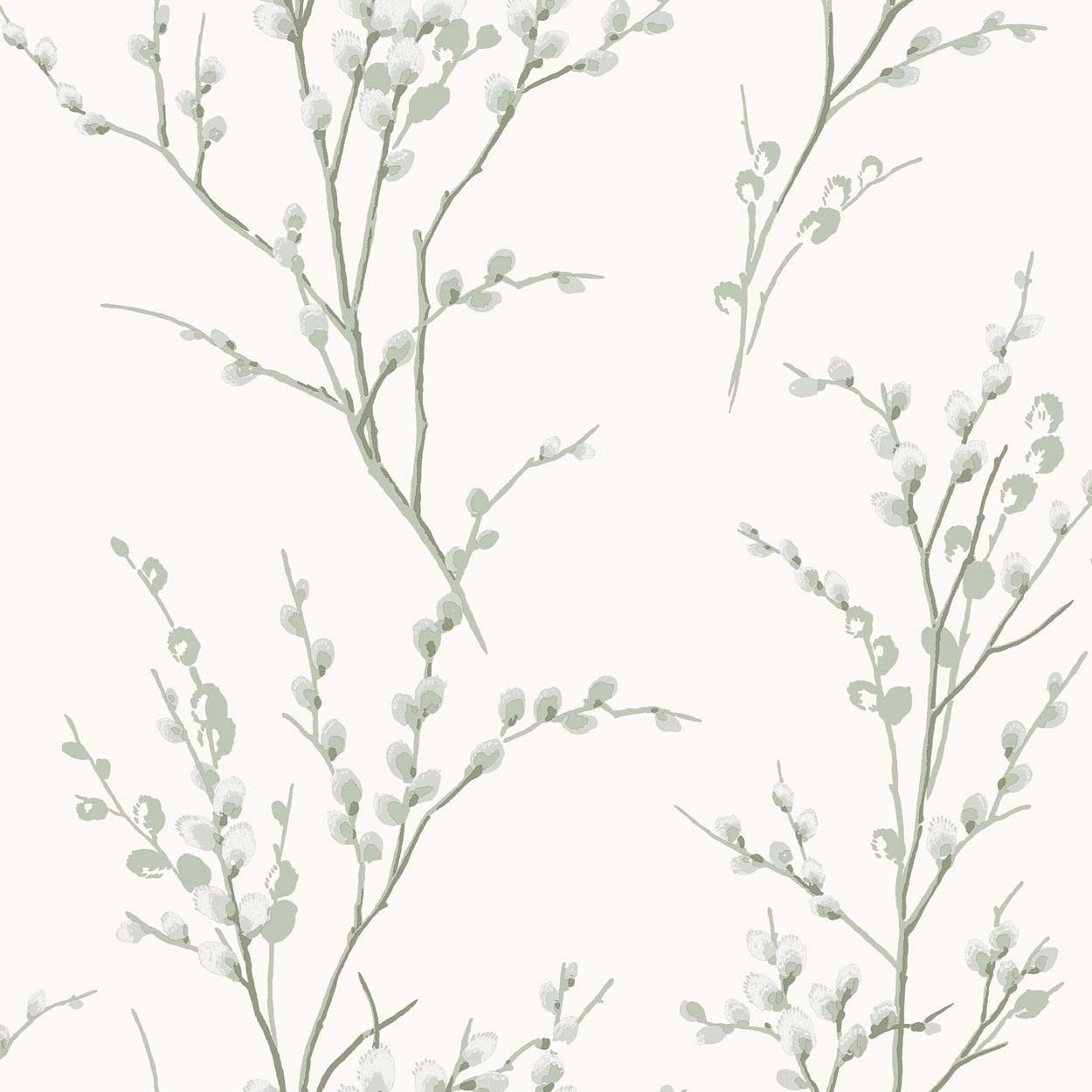 Laura Ashley Pussy Willow  Sage Green Wallpaper