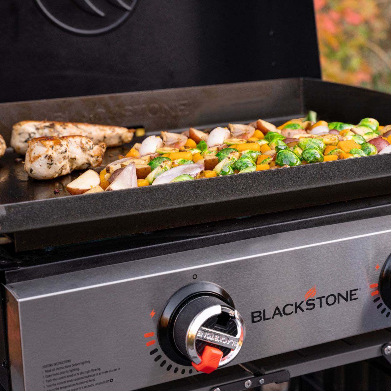 Blackstone 22 Inch Tabletop Griddle With Hood
