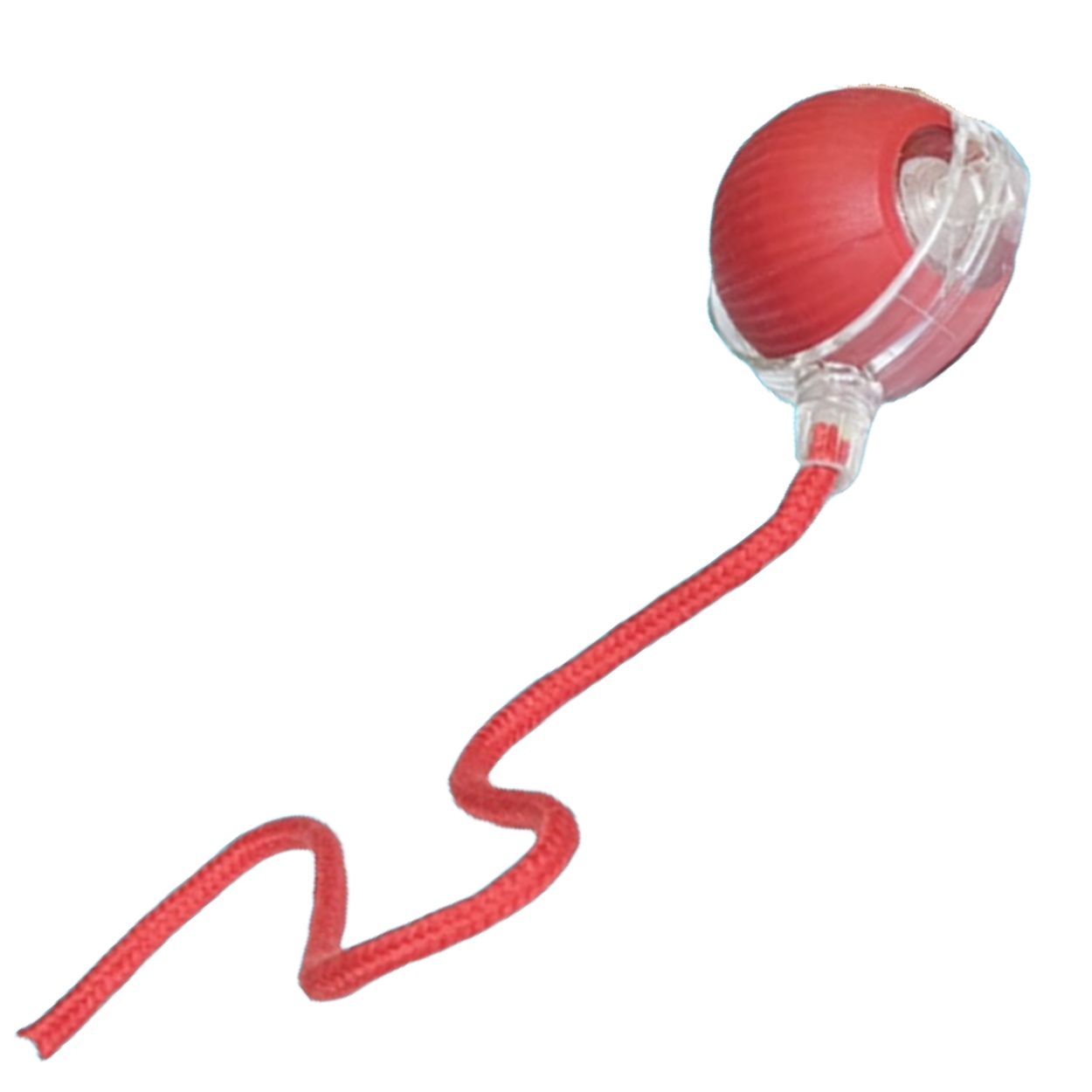 Catch Me Cat Toy