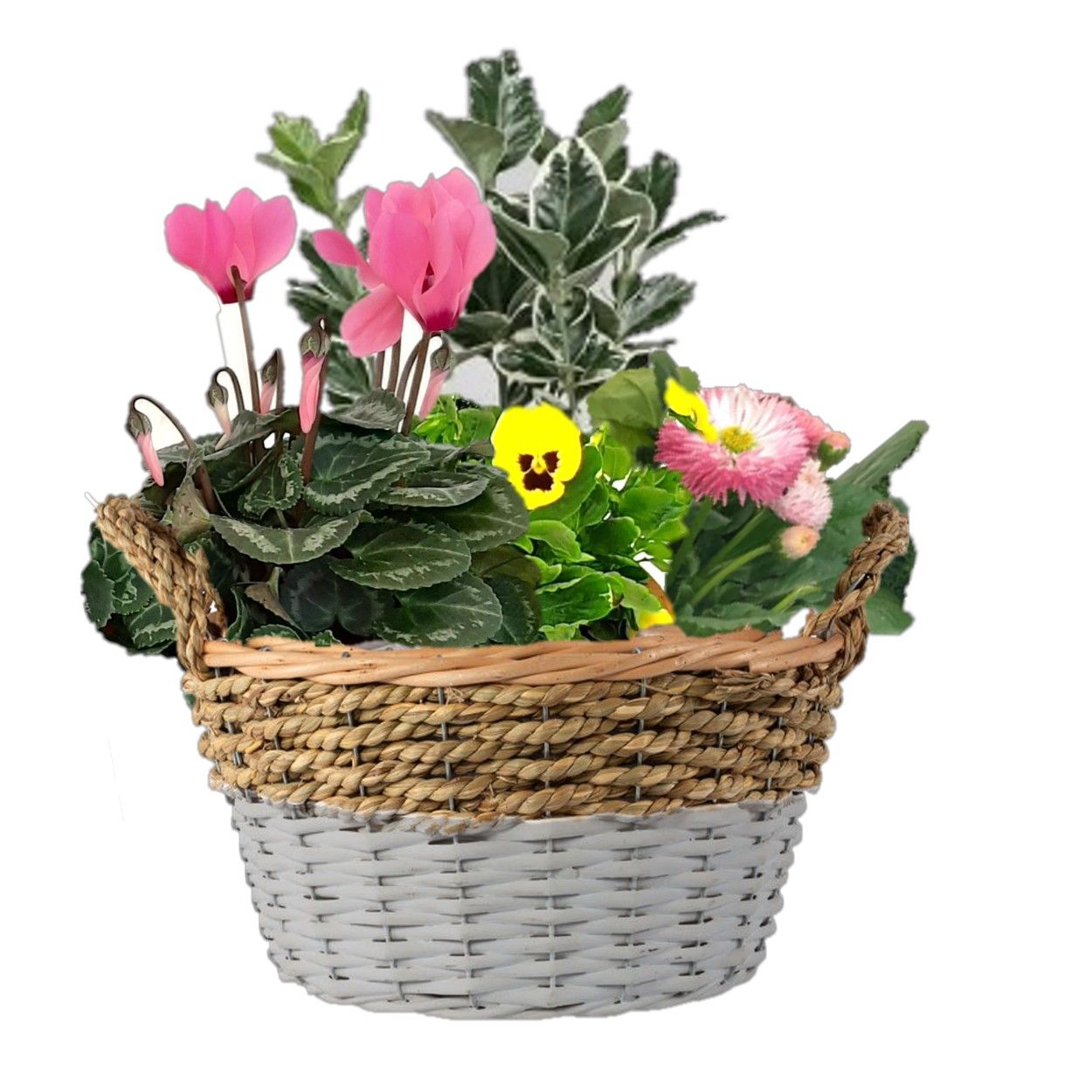 Autumn Garden Basket 20cm