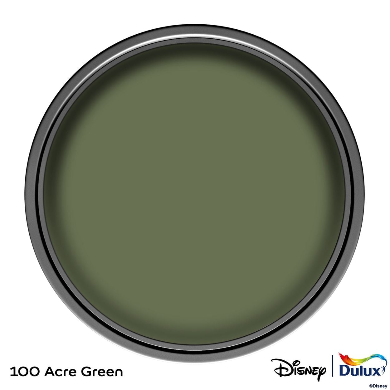 Dulux Easycare Washable & Tough Disney Winnie the Pooh 100 Acre Green 1.25L
