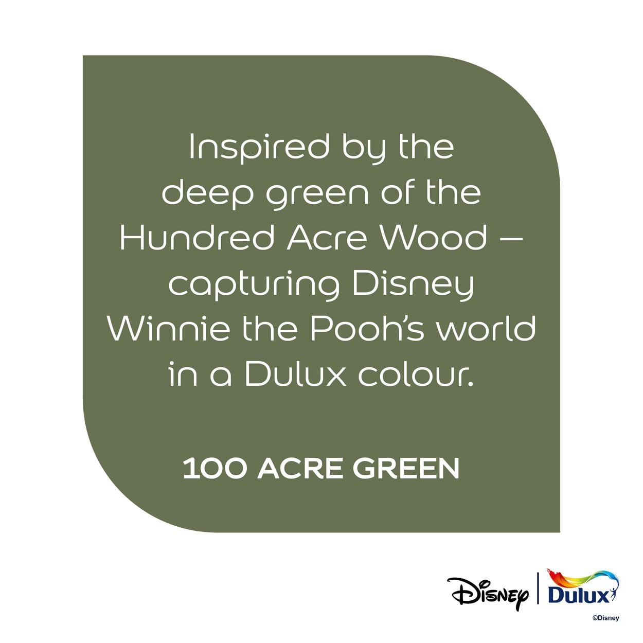 Dulux Easycare Washable & Tough Disney Winnie the Pooh 100 Acre Green 1.25L