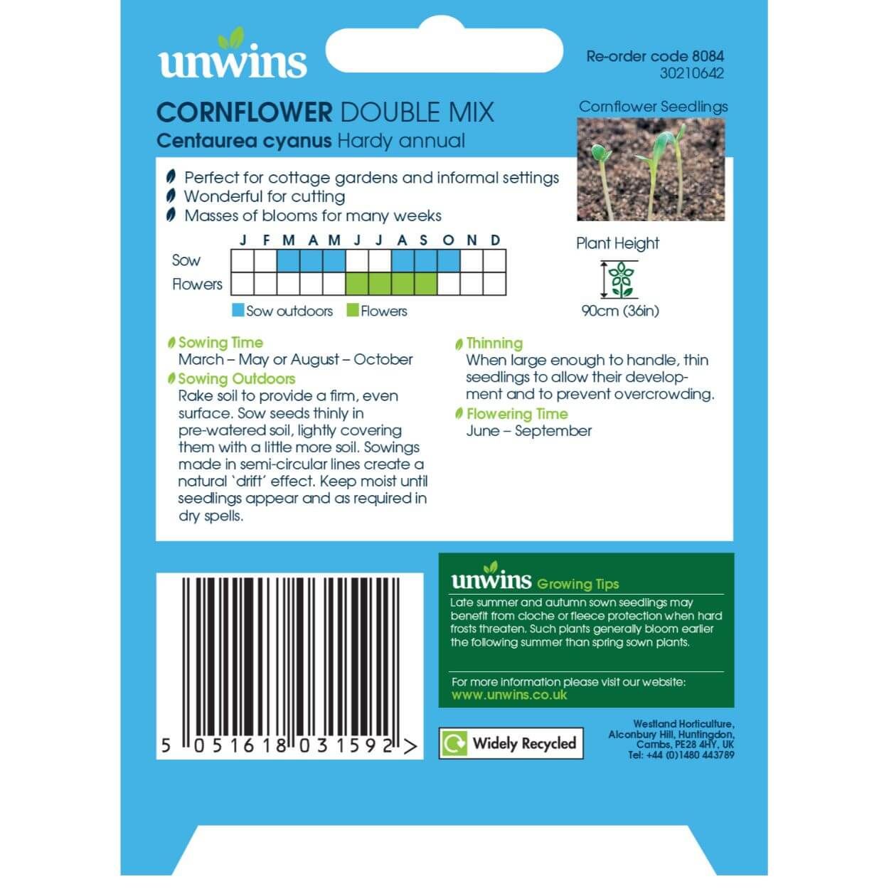 Cornflower Double Mix