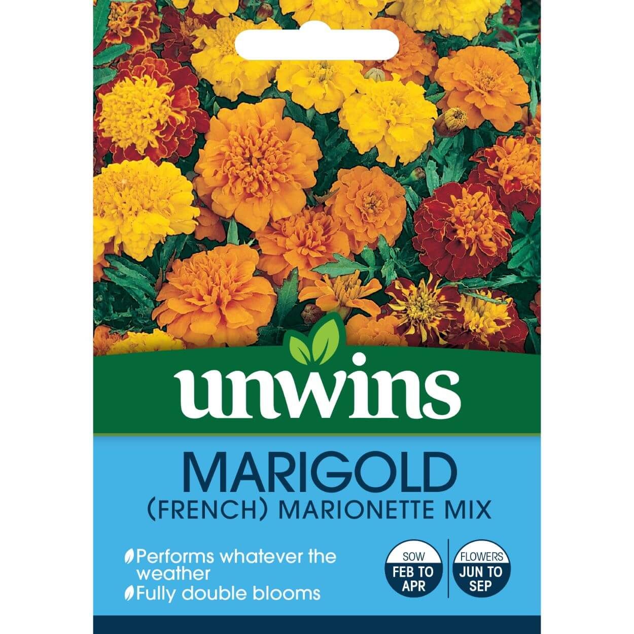 Marigold French Marionette Mix