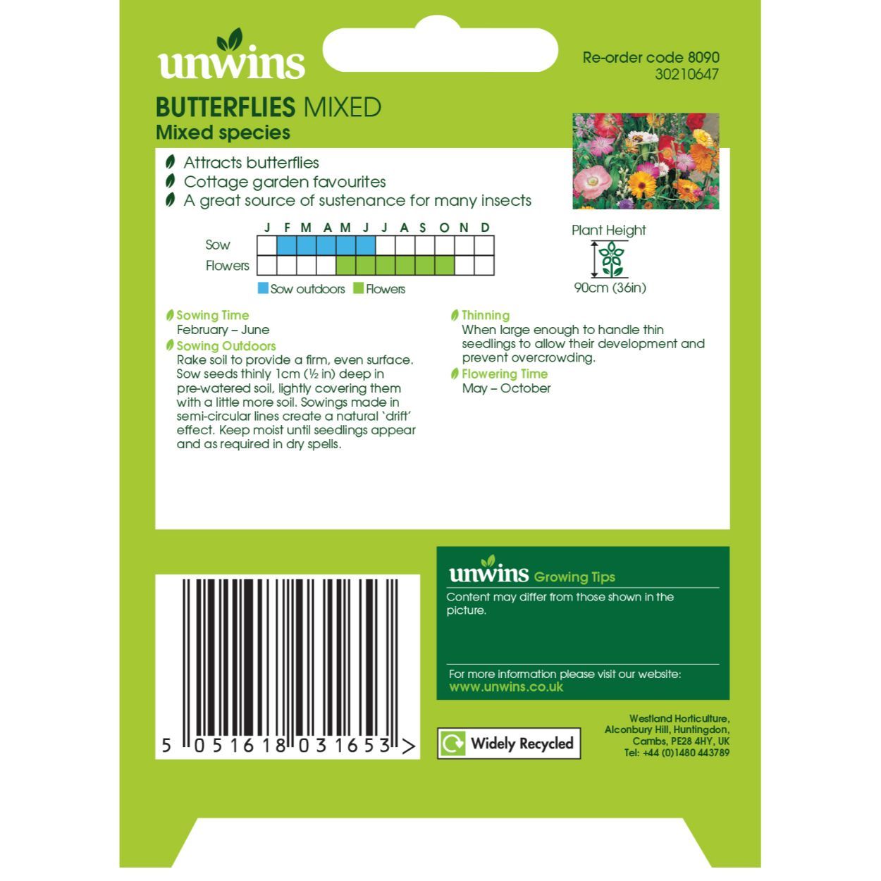 NH Butterflies Mixed