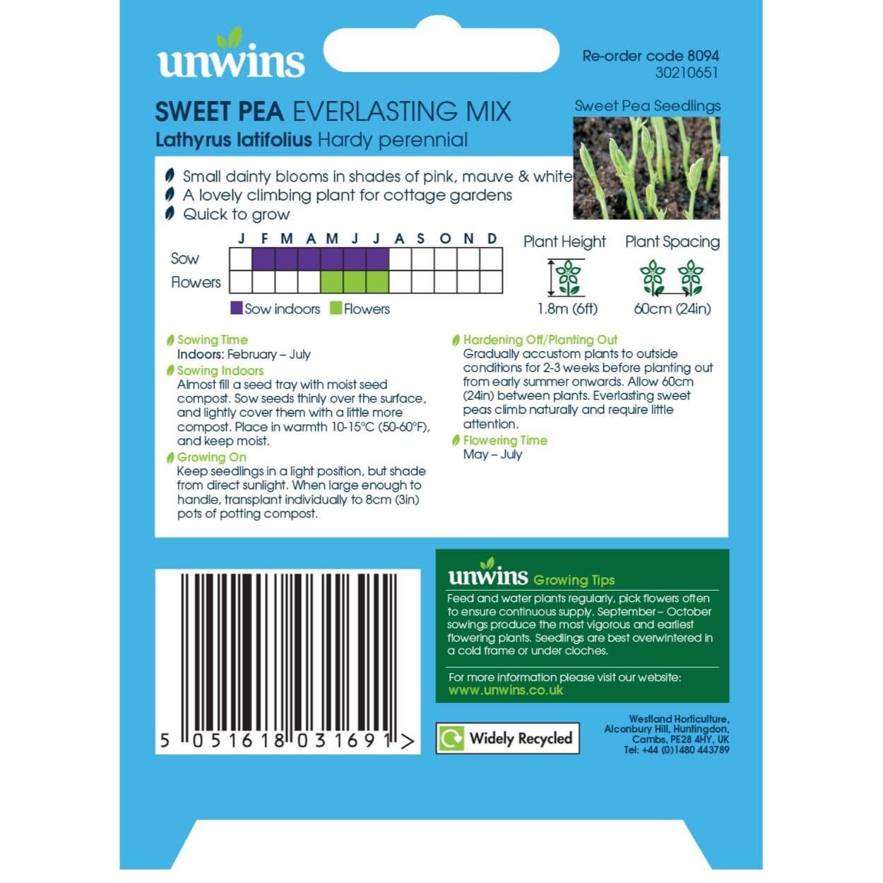 Sweet Pea Everlasting Mix