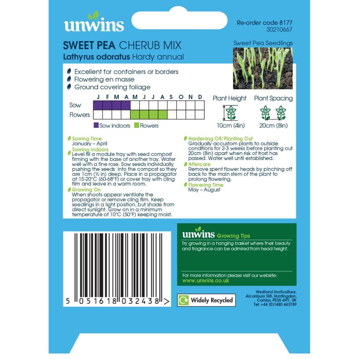 Sweet Pea Cherub Mix