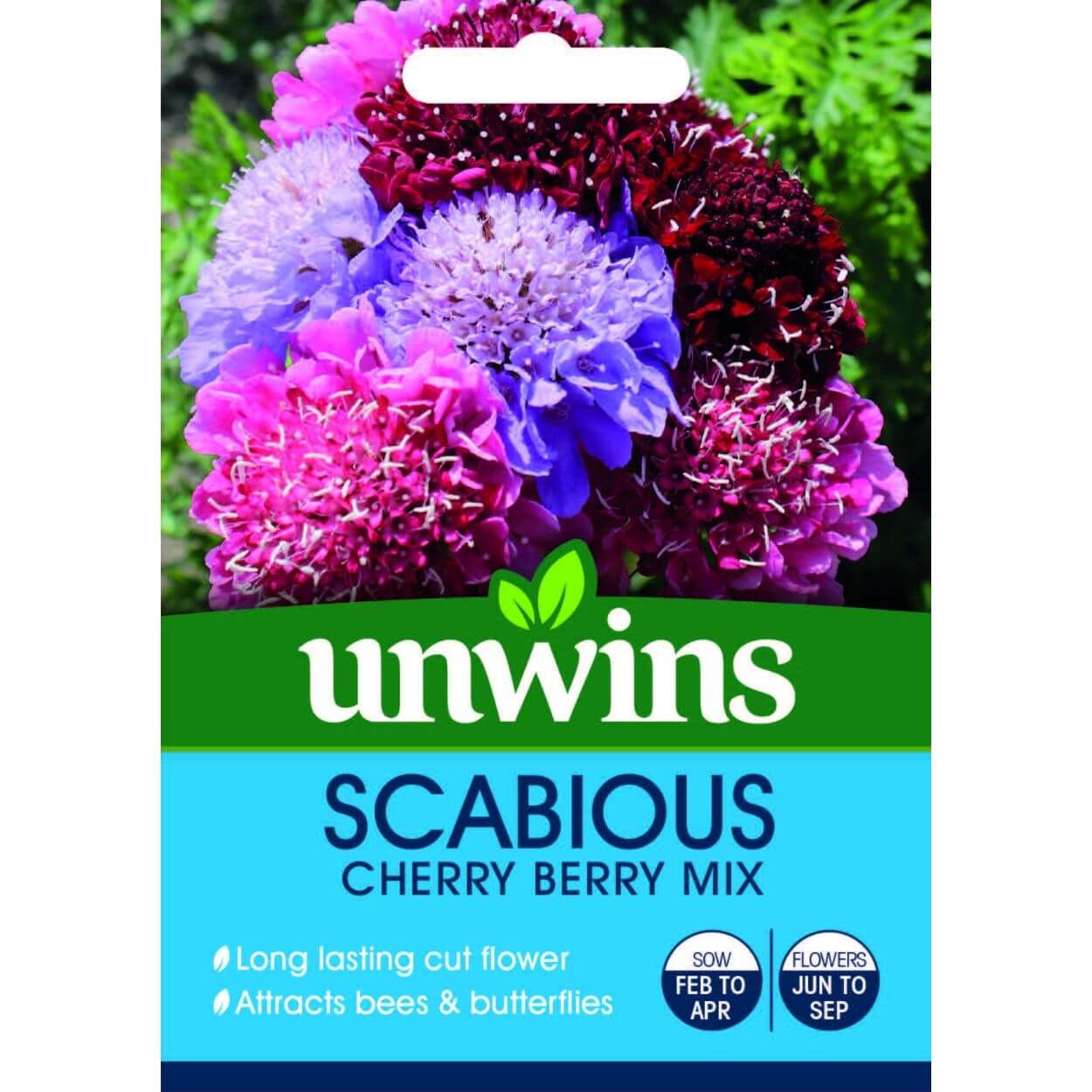 Scabiosa Cherry Berry Mix