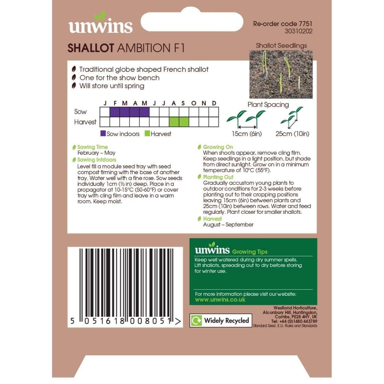 Shallot Ambition F1