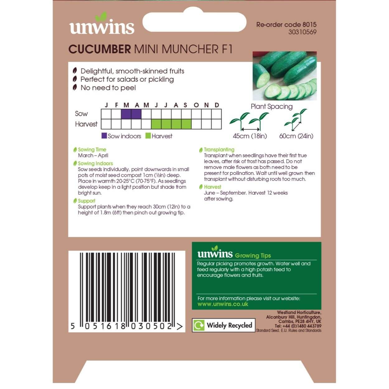 Cucumber Mini Muncher F1