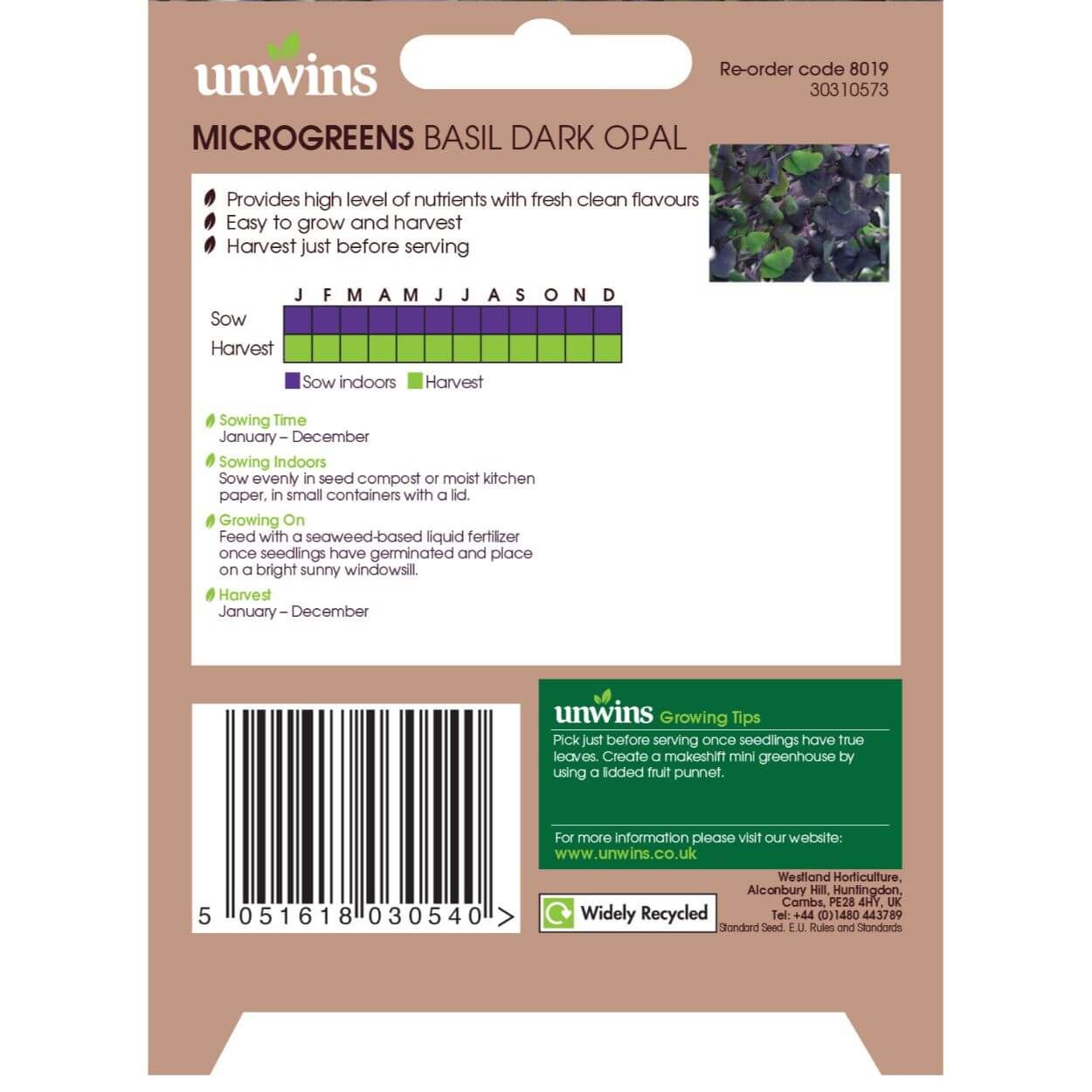 MicroGreens Basil Dark Opal