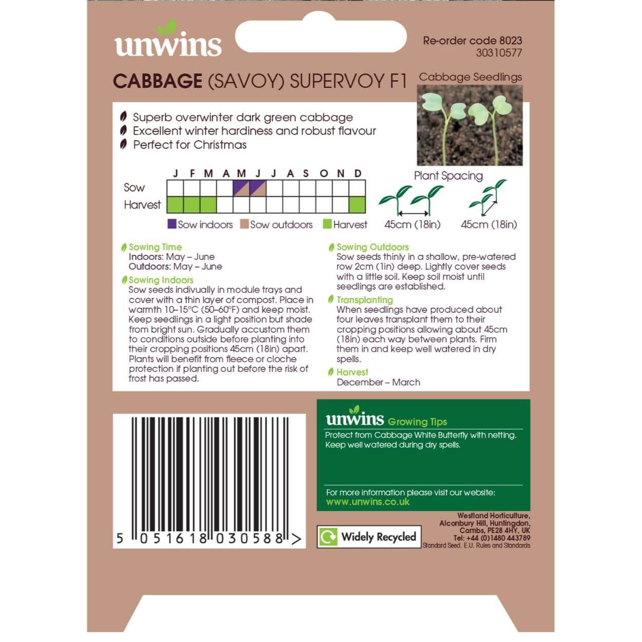 Savoy Cabbage Supervoy F1