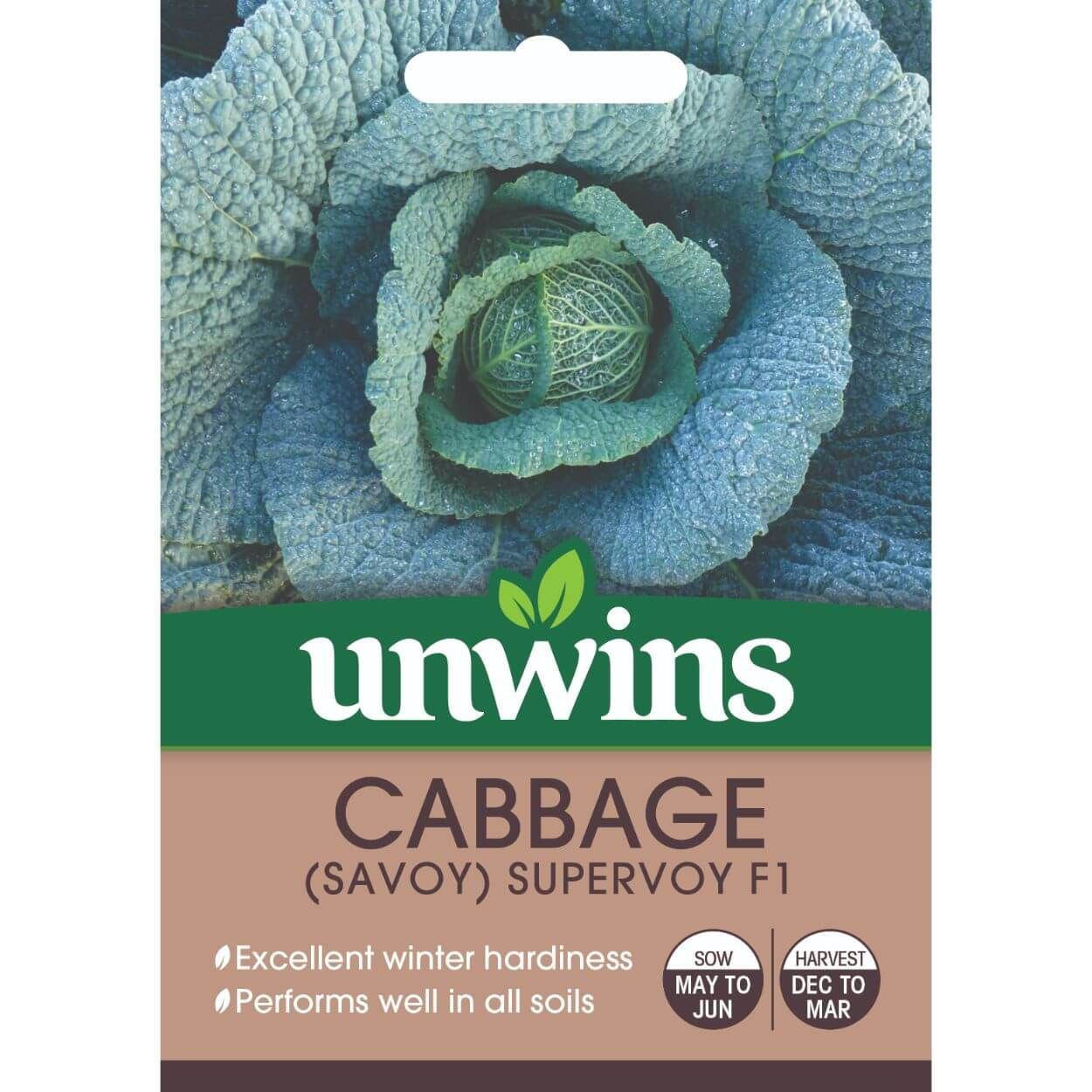 Savoy Cabbage Supervoy F1