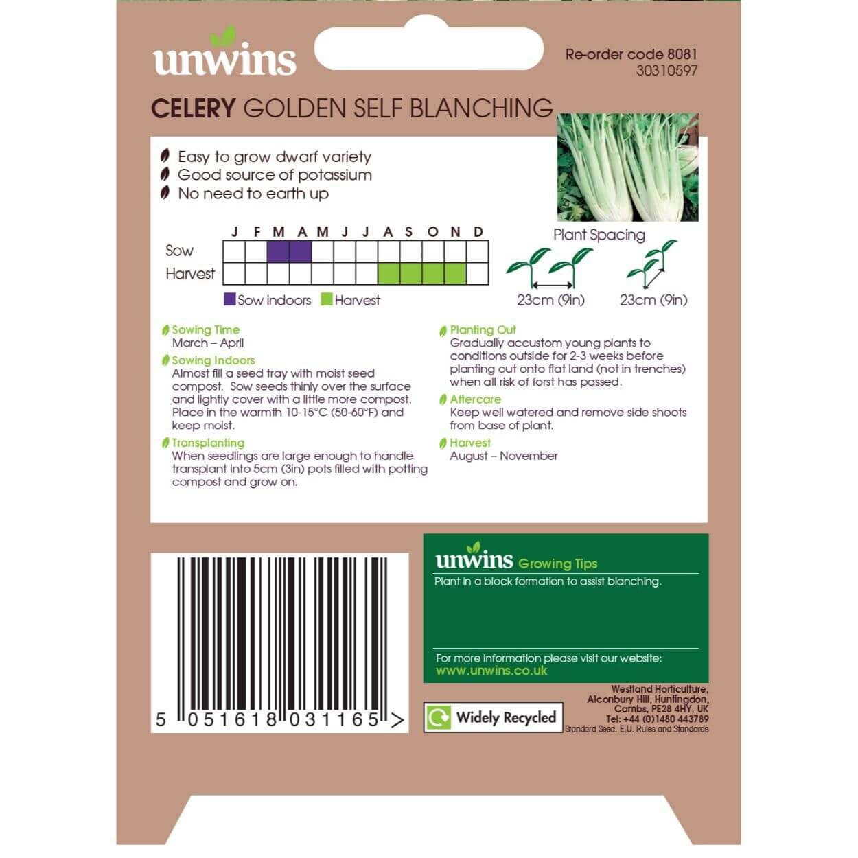 Celery Golden Self Blanching