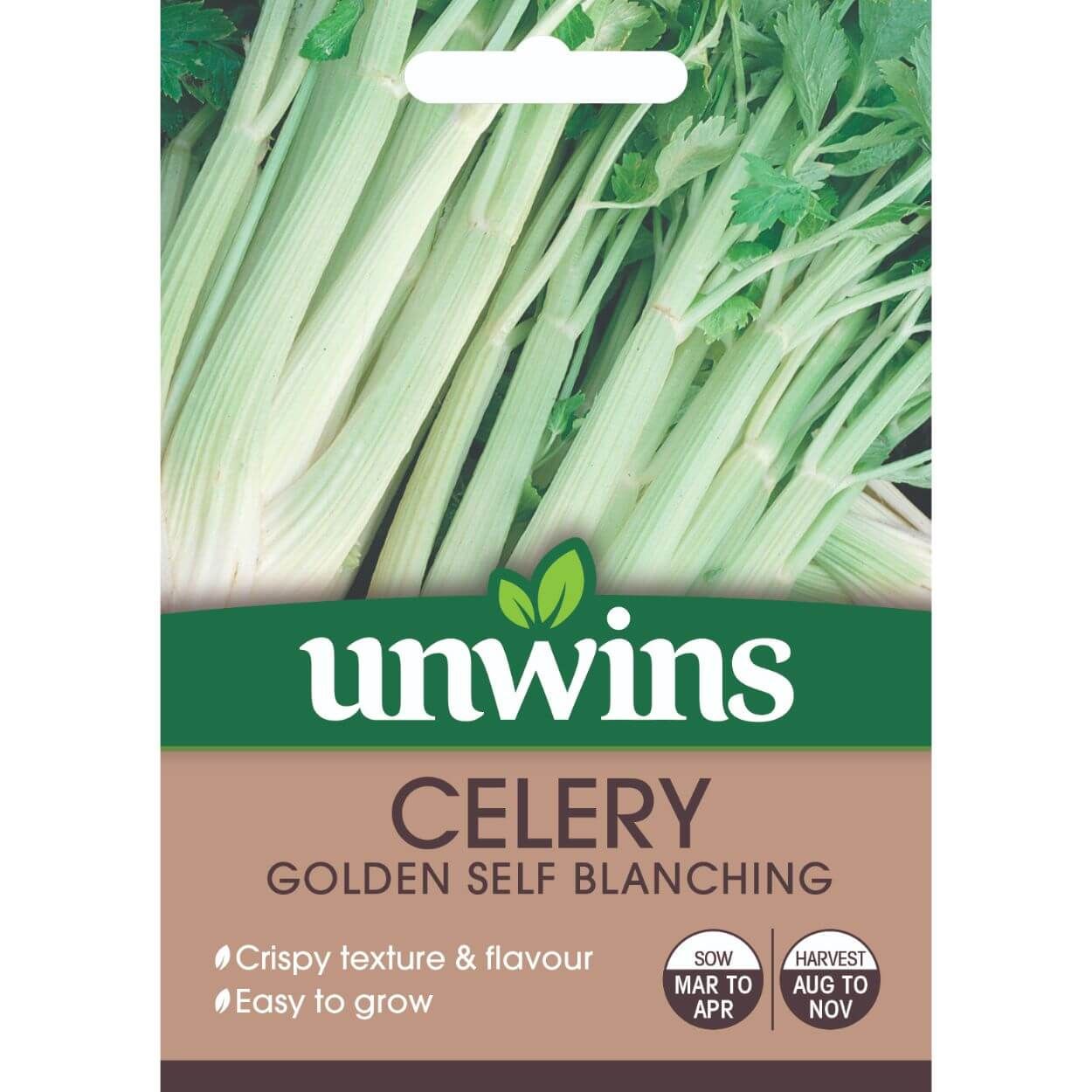 Celery Golden Self Blanching