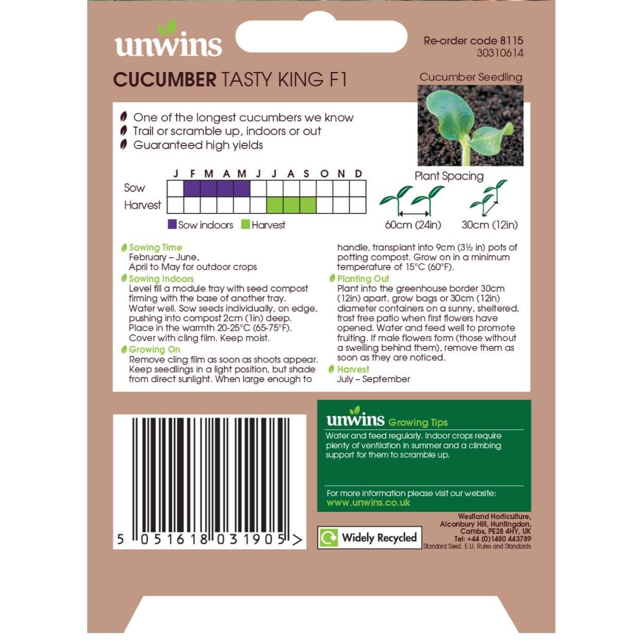 Cucumber Tasty King F1