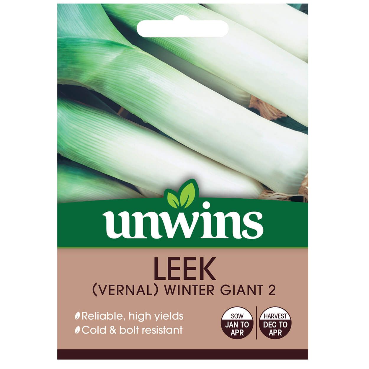 Vernal Leek Winter Giant 2