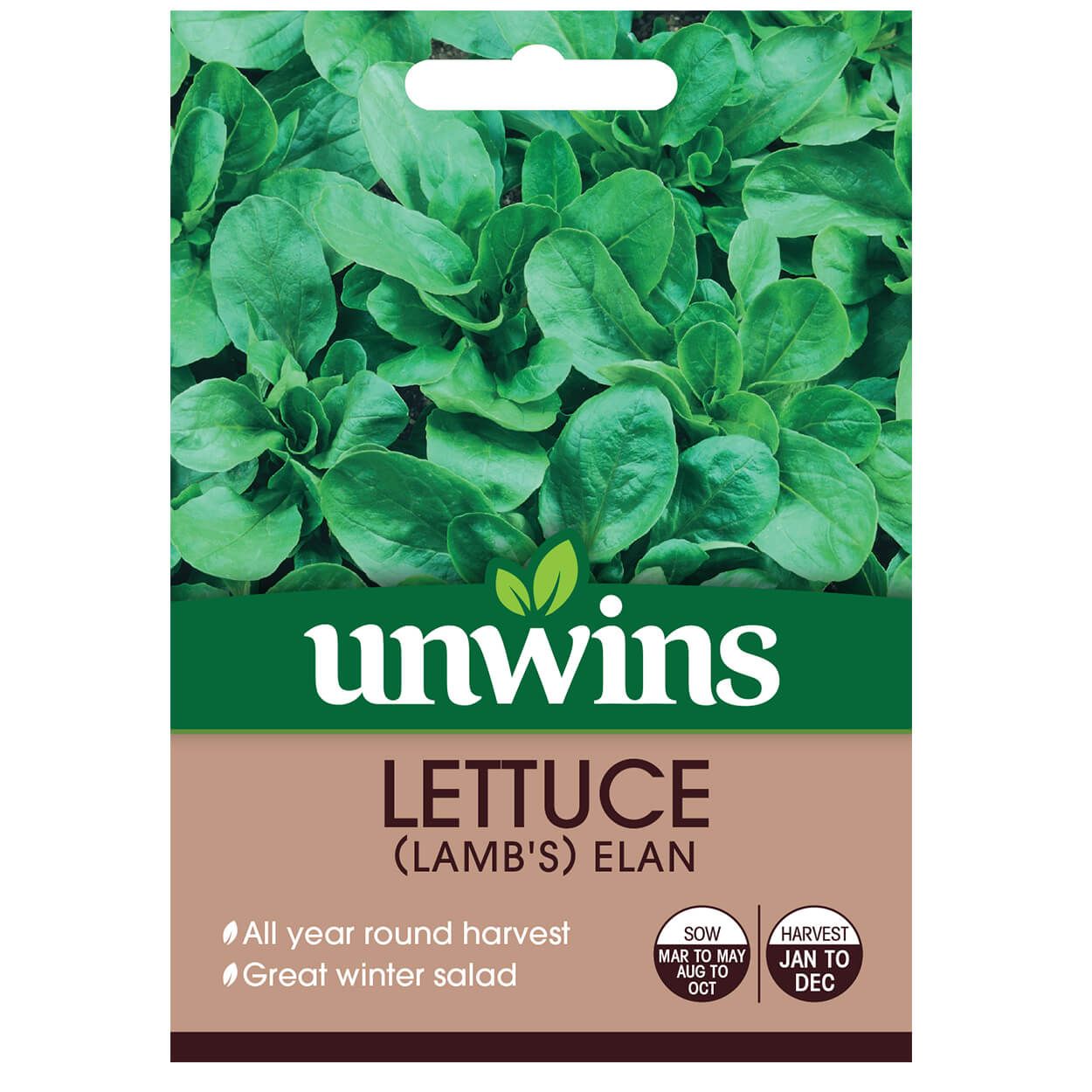 Lettuce Leaves Lamb's Elan