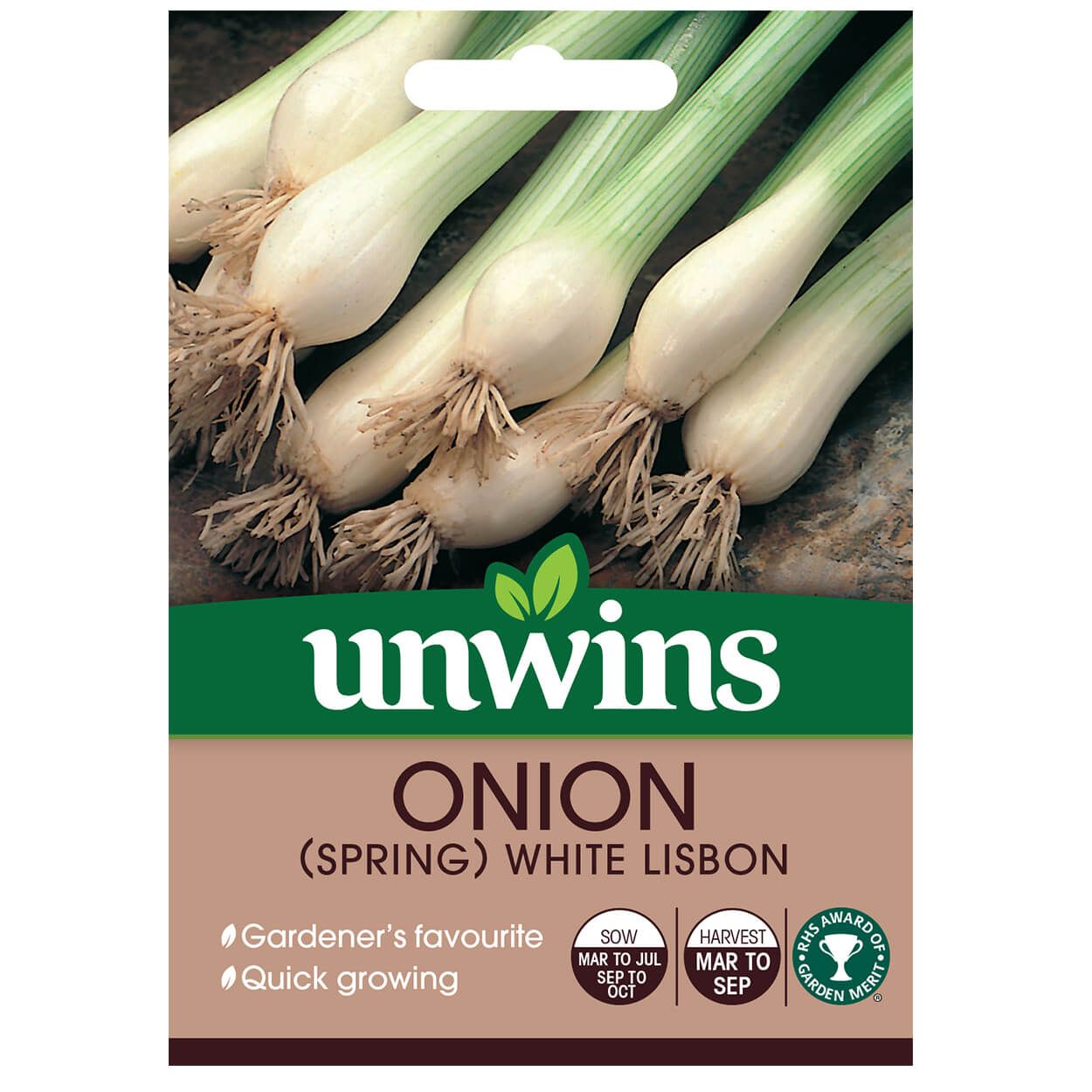 Onion Spring White Lisbon