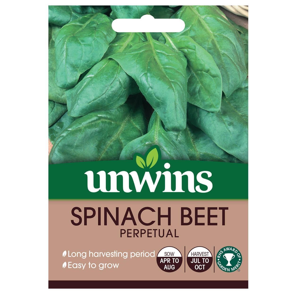 Spinach Beet Perpetual