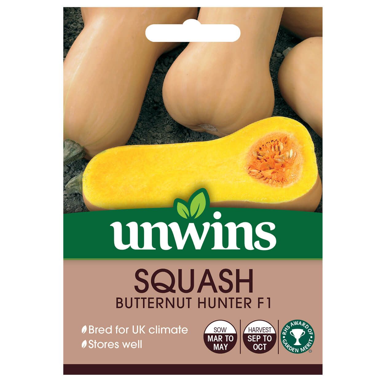 Butternut Squash Hunter F1