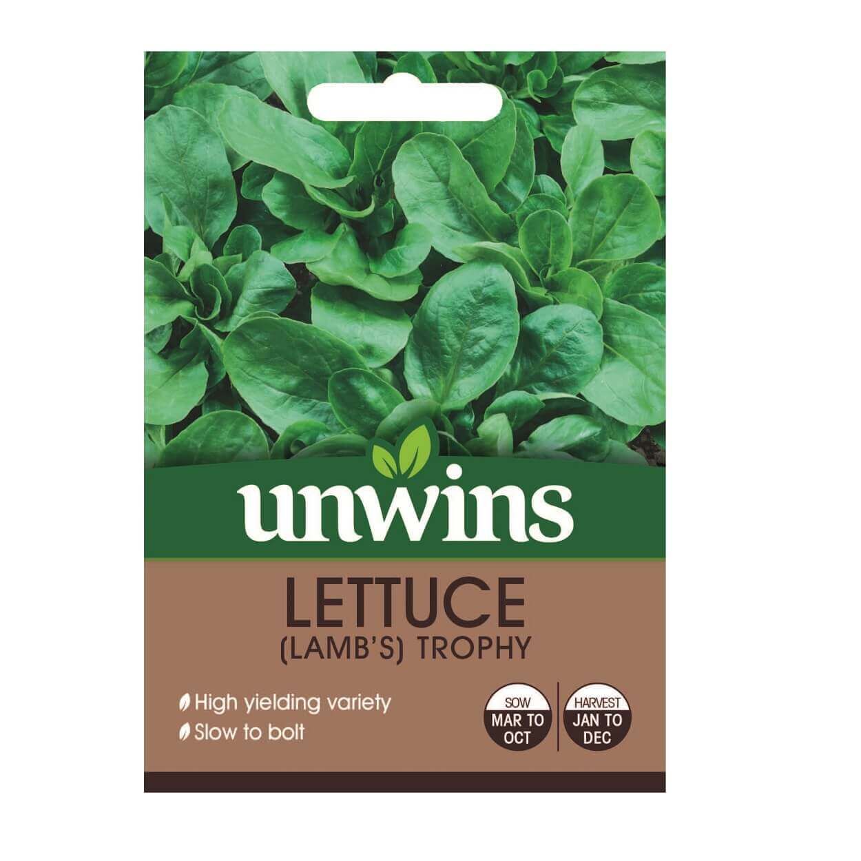 Lettuce Leaves Lamb's Trophy