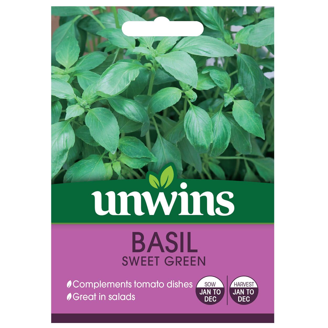 Herb Basil Sweet Green