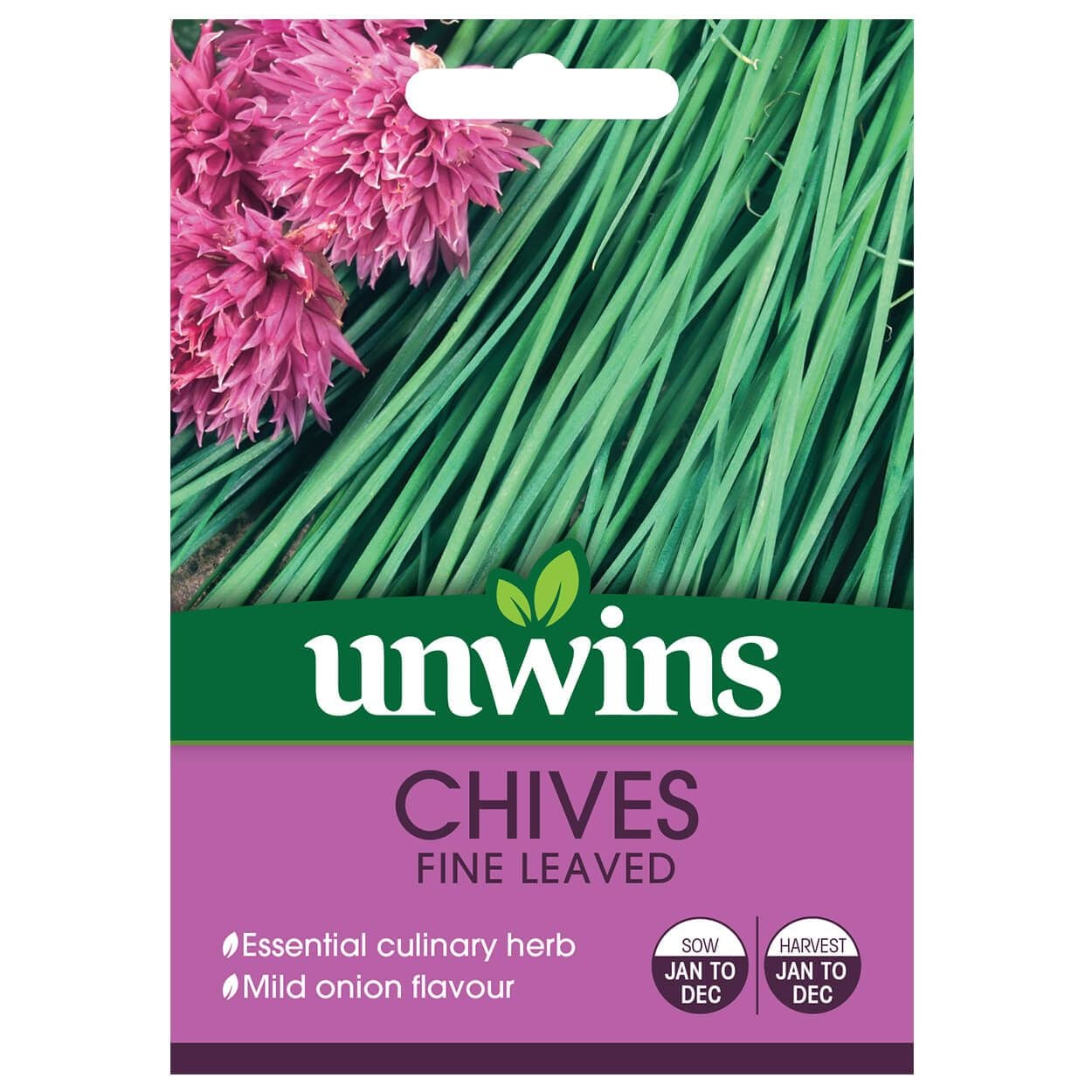 Herb Chives Fine Leaved