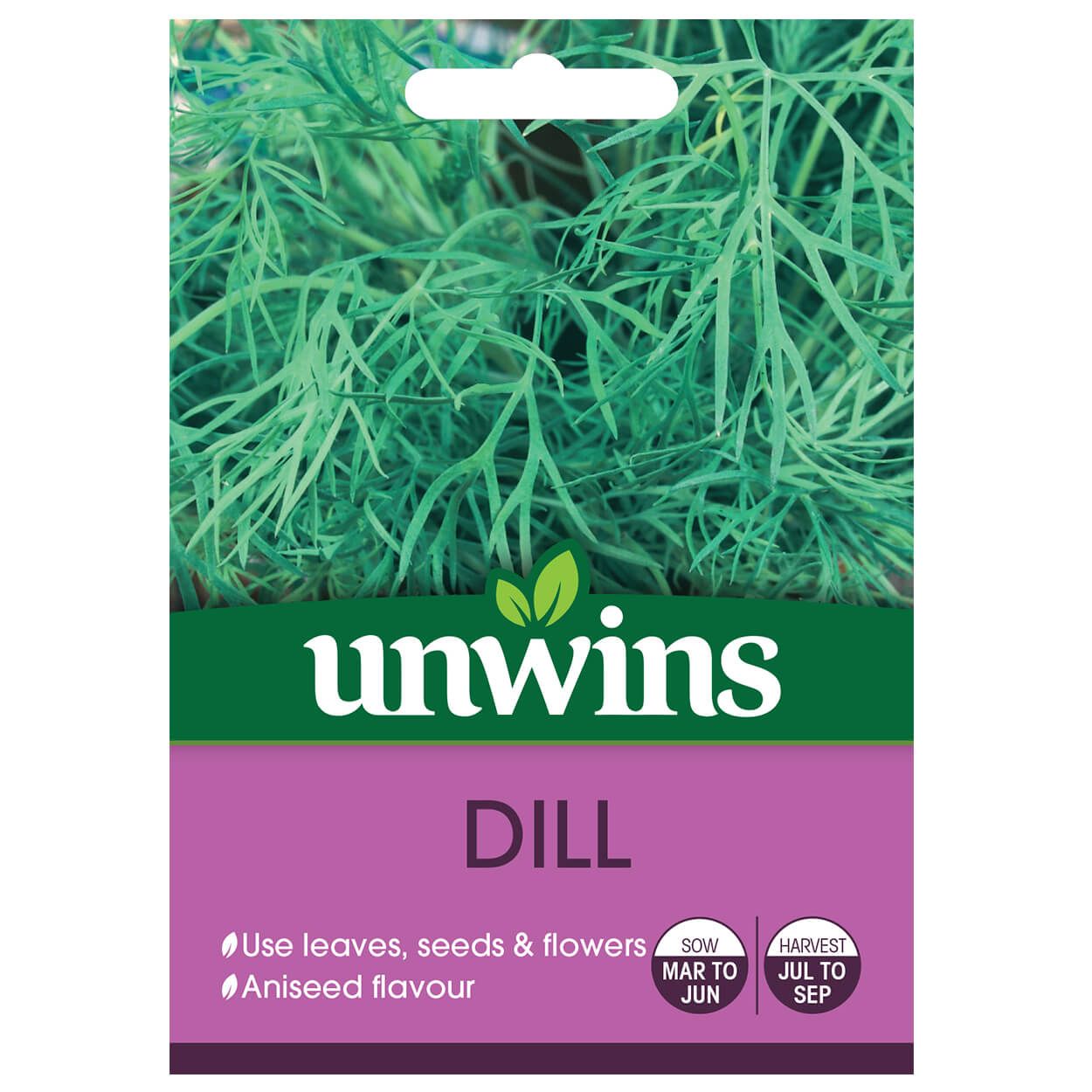 Herb Dill