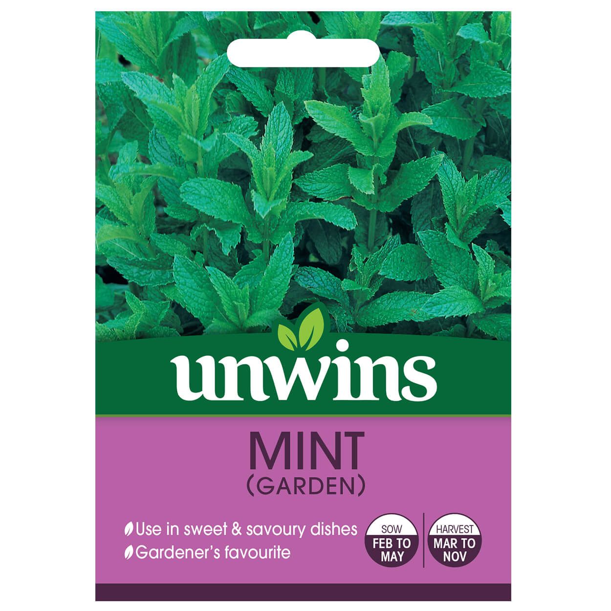 Herb Mint Garden