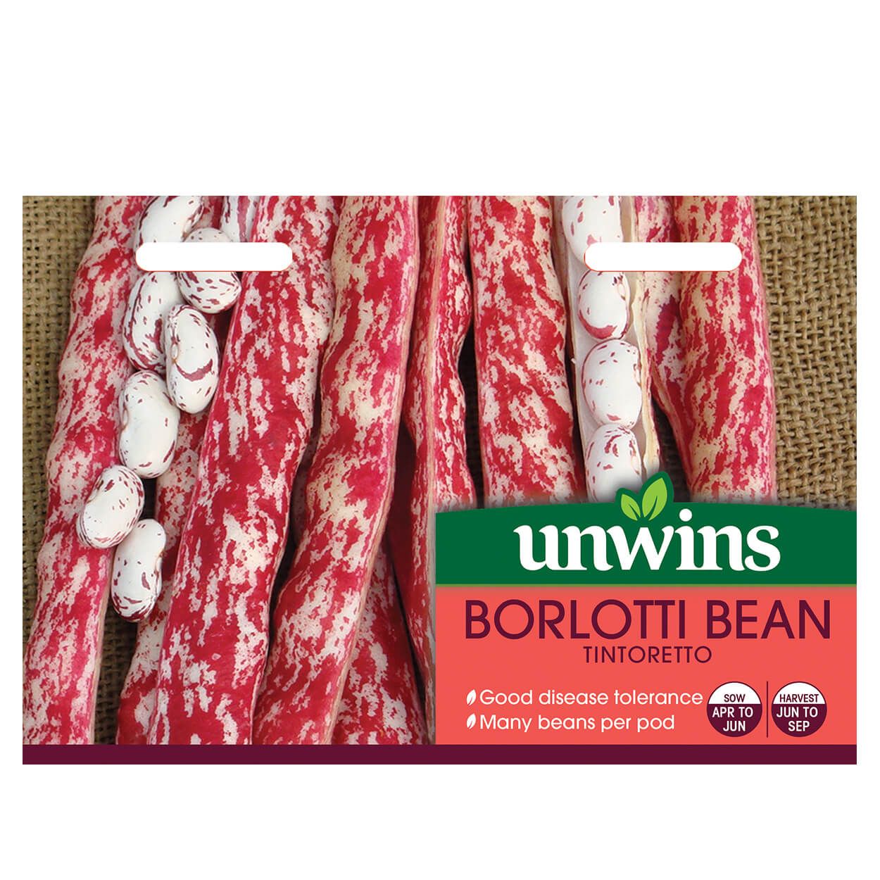 Borlotti Bean Tintoretto