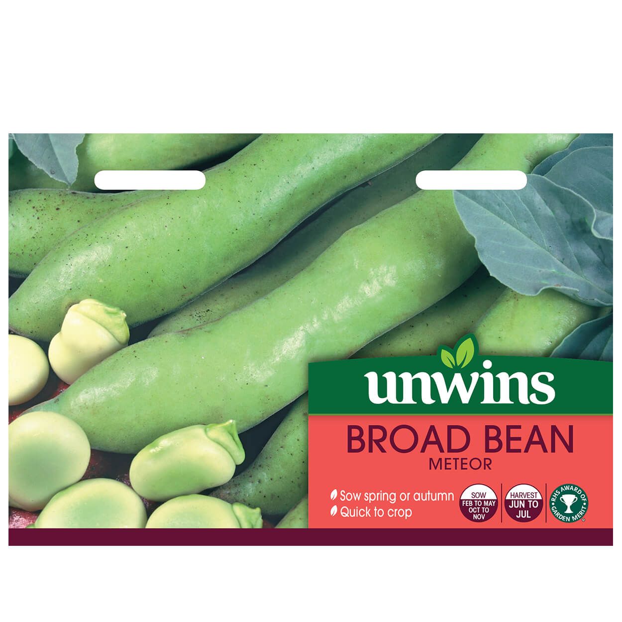 Broad Bean Meteor