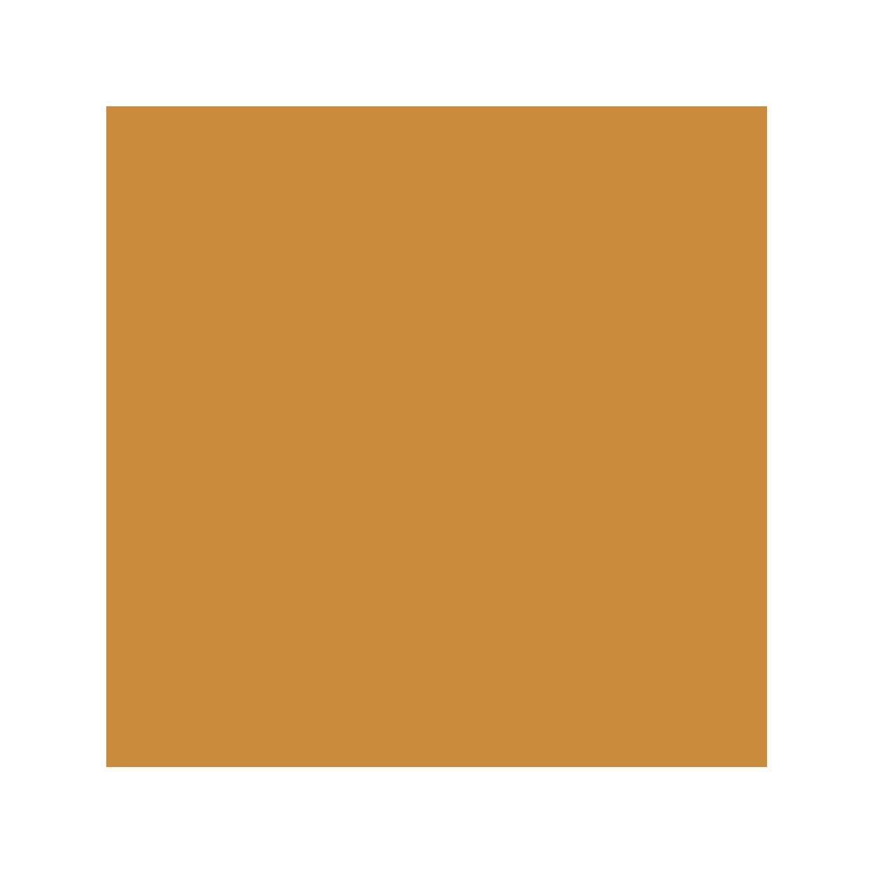 Ronseal 465g Multi Purpose Wood Filler Light