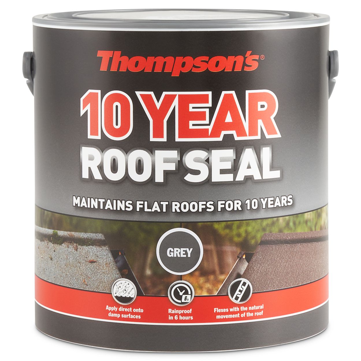 Thompson's 2.5 Litre 10 Year Roof Seal