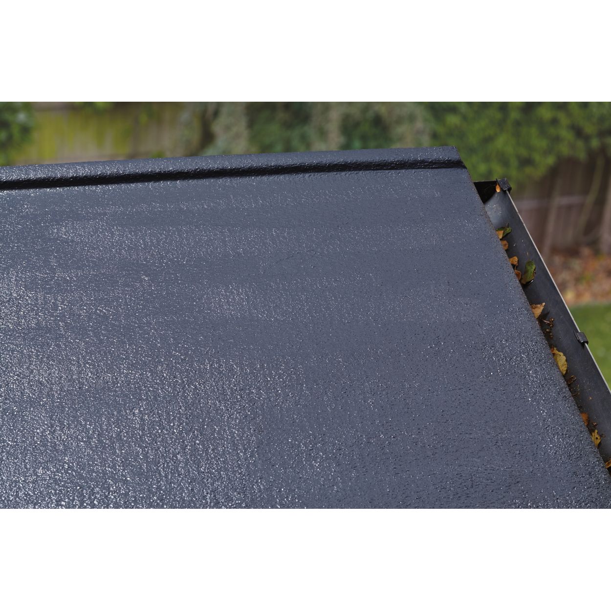 Thompson's 4 Litre 10 Year Roof Seal