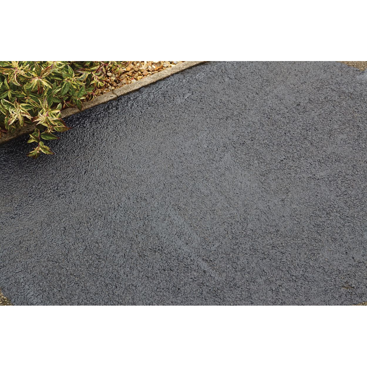 Thompson's 5 Litre Quick Drying Drive Seal