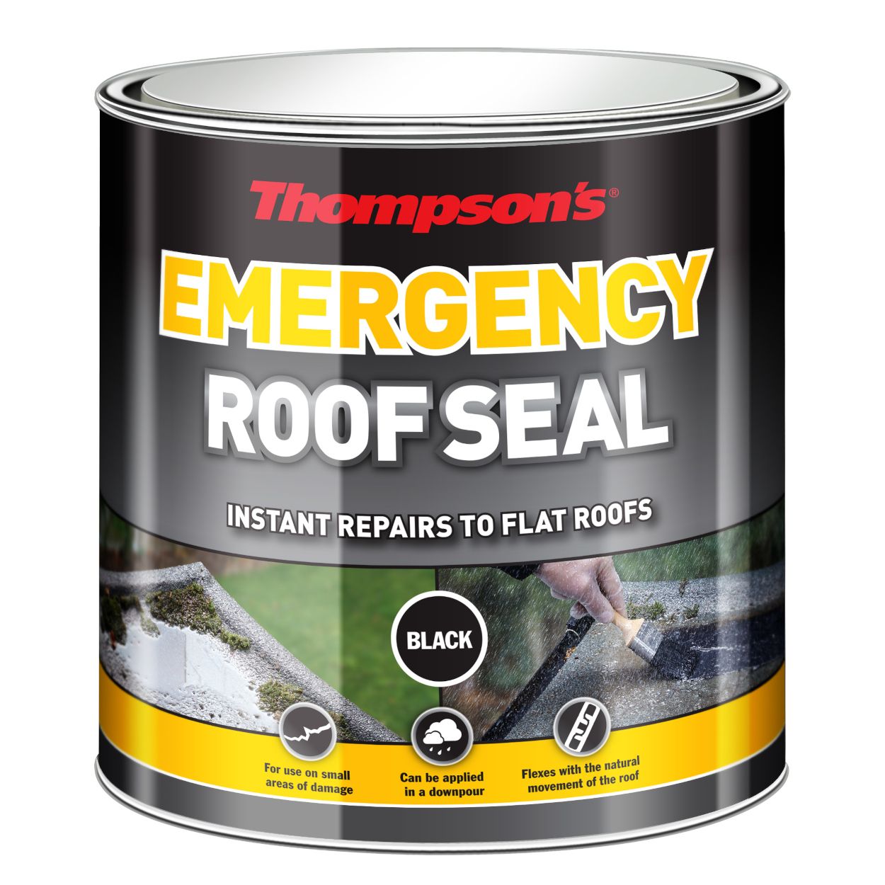 Thompson's 2.5 Litre Emergency Roof Seal