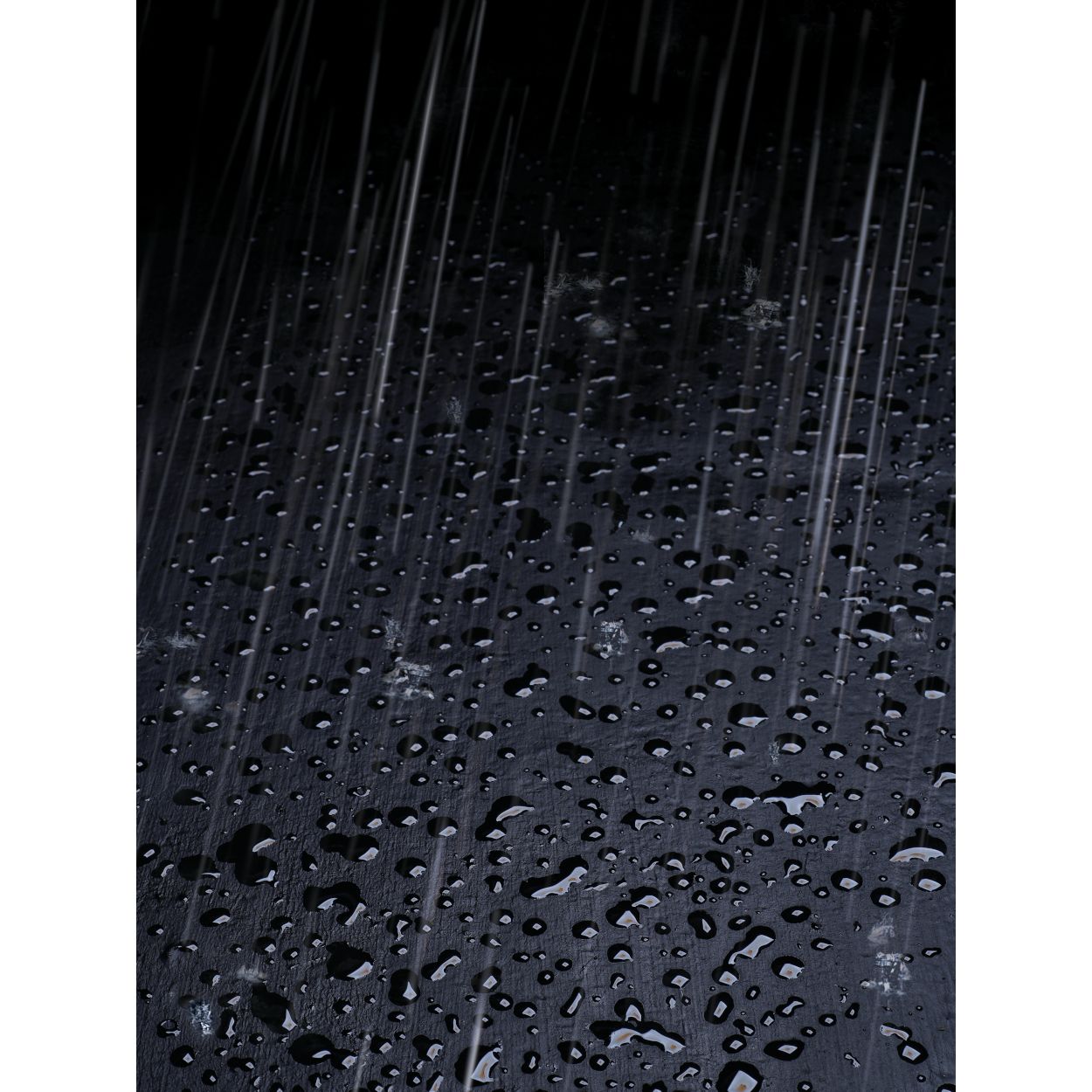 Thompson's 2.5 Litre Emergency Roof Seal