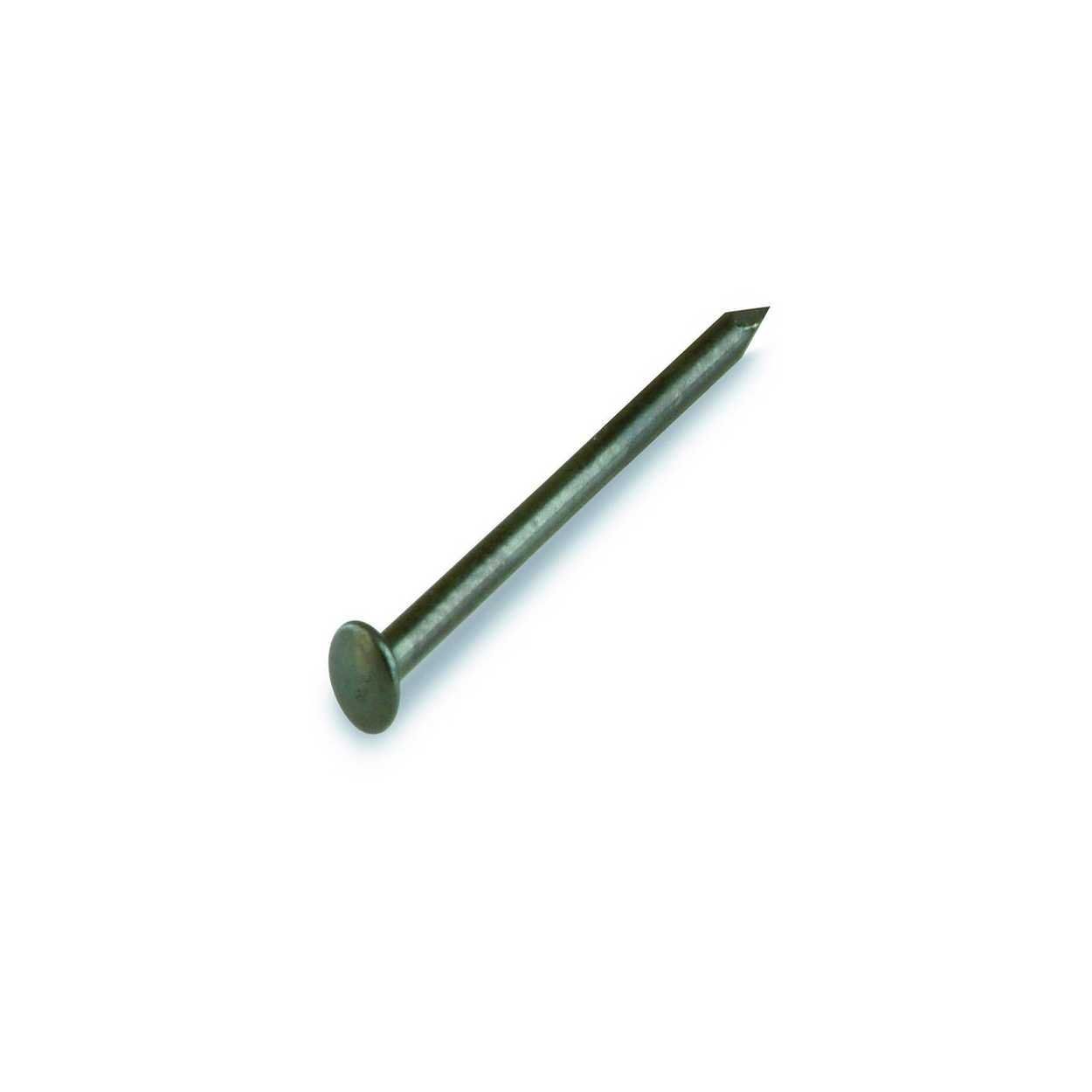 Steel Nail 2.0 x 40 Blue Hardened Oval Head