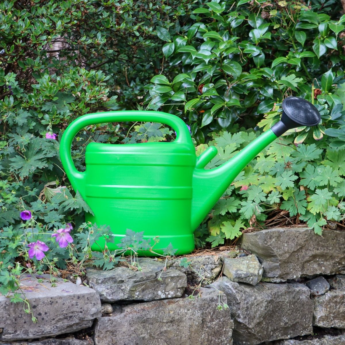ProPlus Green Watering Can (10 Litre)