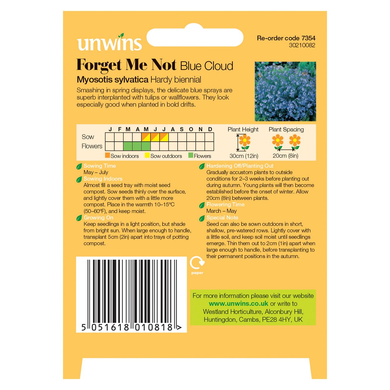 Forget Me Not Blue Cloud