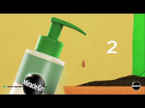 Miracle Gro Pump and Feed All Purpose Plant Food