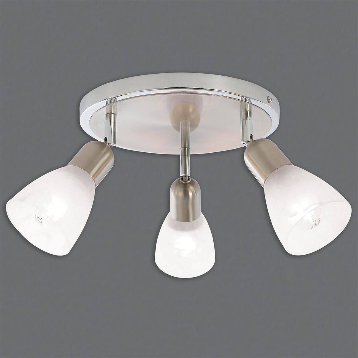 Sofia 3 light Spotlight Plate Satin Nickel