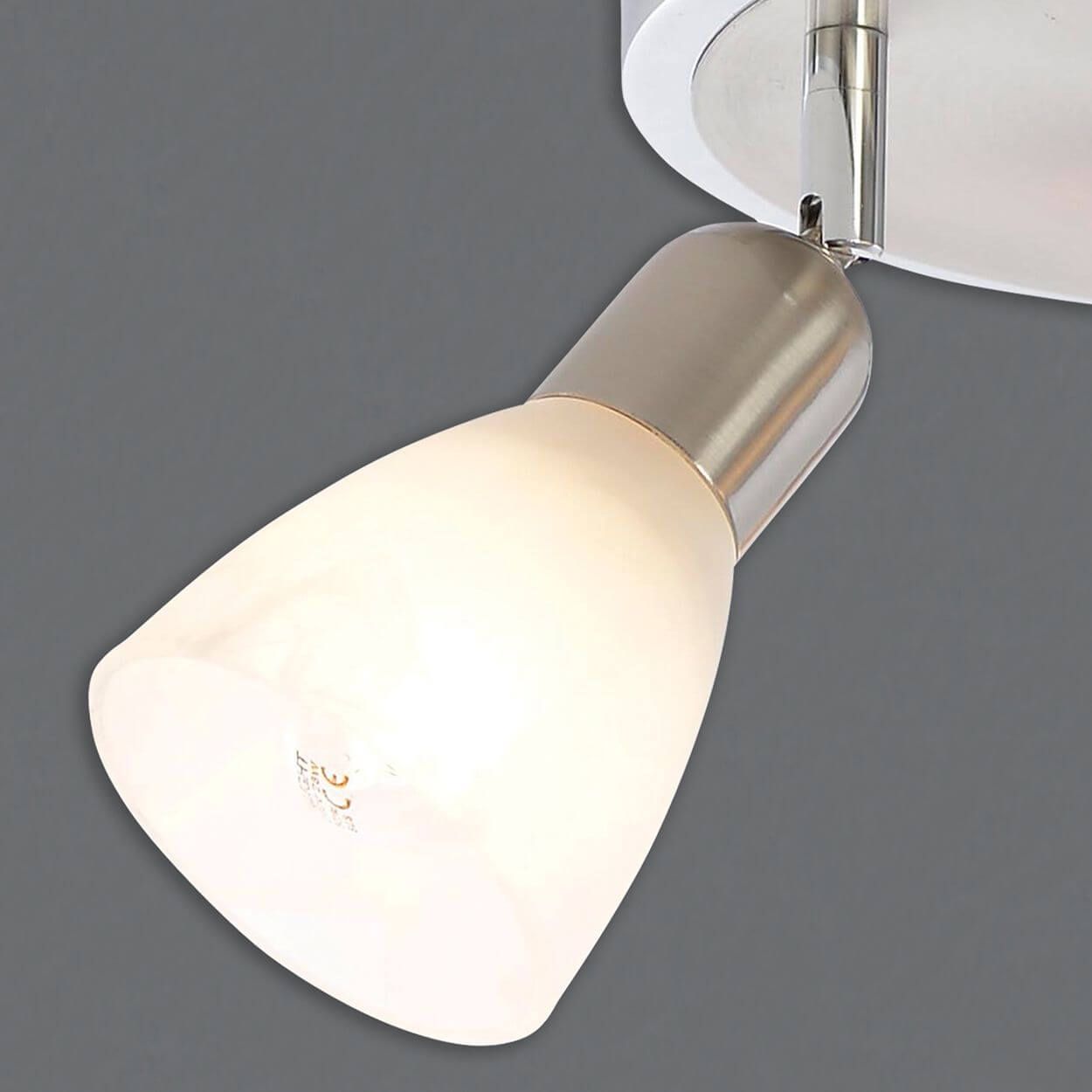 Sofia 3 light Spotlight Plate Satin Nickel