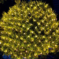 Fairy lights woodies hotsell