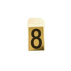 Brass Effect 60mm Numbers - 8