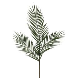 Areca Palm Green Stem 99Cm