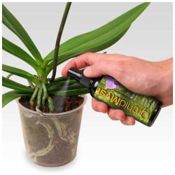 Growth Technology Orchid Myst 100ml