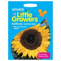 Little Growers Sunflower Sunshine Giant